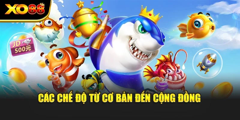 Các chế độ từ cơ bản đến cộng đồng