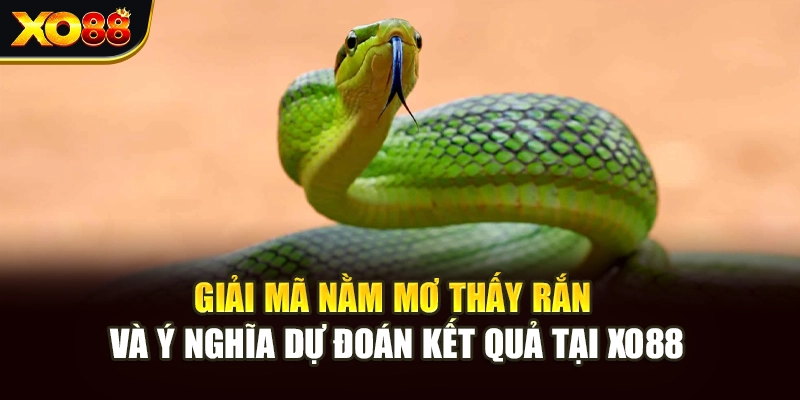 Giải Mã Nằm Mơ Thấy Rắn Và Ý Nghĩa Dự Đoán Kết Quả Tại Xo88