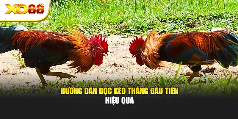 Hướng dẫn đọc kèo thắng đầu tiên hiệu quả