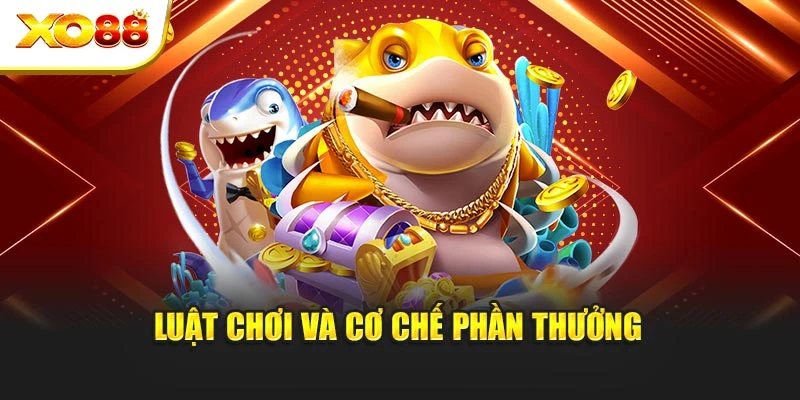 Luật chơi và cơ chế phần thưởng