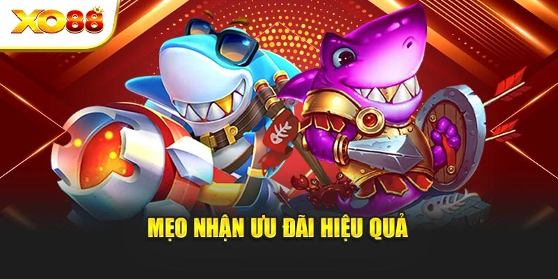 Mẹo nhận ưu đãi hiệu quả