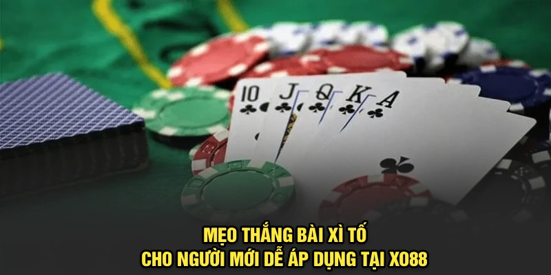 Mẹo Thắng Bài Xì Tố Cho Người Mới Dễ Áp Dụng Tại Xo88