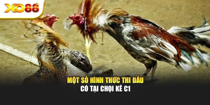 Một số hình thức thi đấu có tại chọi kê C1
