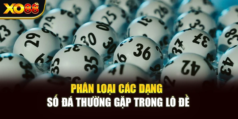 Phân loại các dạng số đá thường gặp trong lô đề