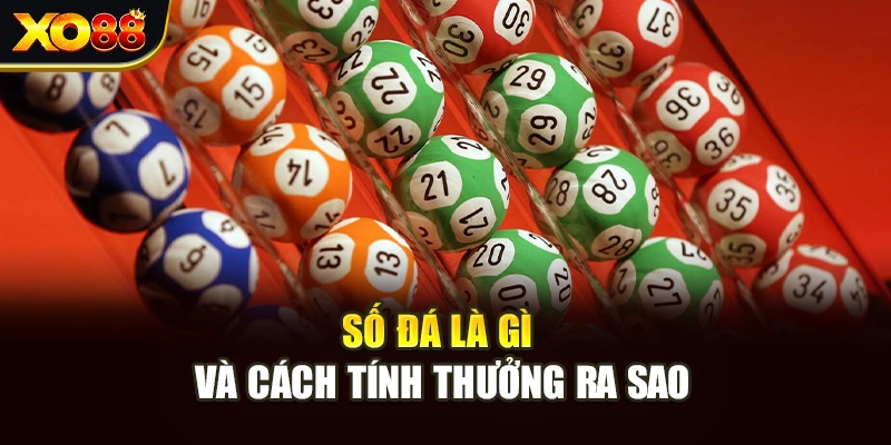 Số đá là gì và cách tính thưởng ra sao