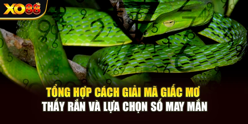 Tổng hợp cách giải mã giấc mơ thấy rắn và lựa chọn số may mắn