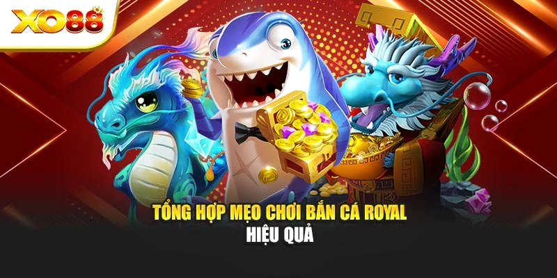 Tổng hợp mẹo chơi bắn cá Royal hiệu quả
