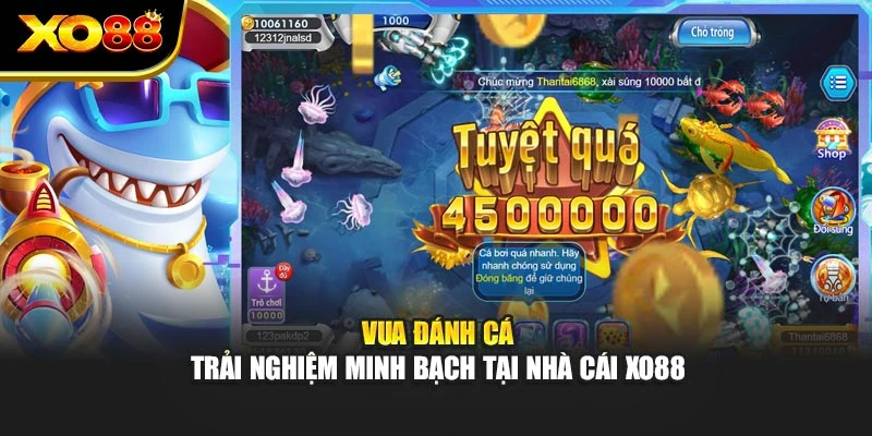 Vua Đánh Cá – Trải Nghiệm Minh Bạch Tại Nhà Cái Xo88